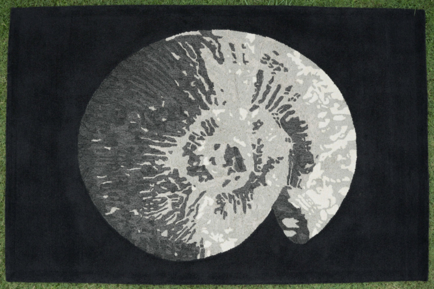 Spiral Relic