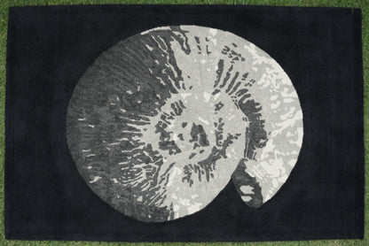 Spiral Relic
