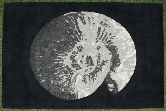 Spiral Relic